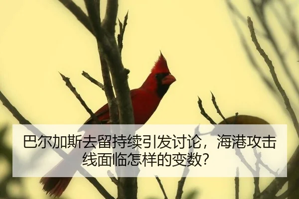 ba-er-jia-si-qu-liu-chi-xu-yin-fa-tao-lun-hai-gang-gong-ji-xian-mian-lin-zen-yang-de-bian-shu-2-188.jpg